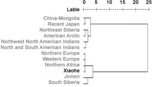 Bioarchaeological analysis of Bronze Age populations in the Xiaohe cemetery using dental non-metric traits