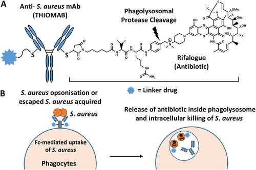 Nanodelivery strategies for the treatment of multidrug-resistant bacterial infections