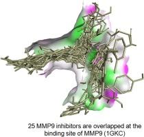 Matrix metalloproteinase 9 (MMP9) in wound healing of diabetic foot ulcer: Molecular target and structure-based drug design