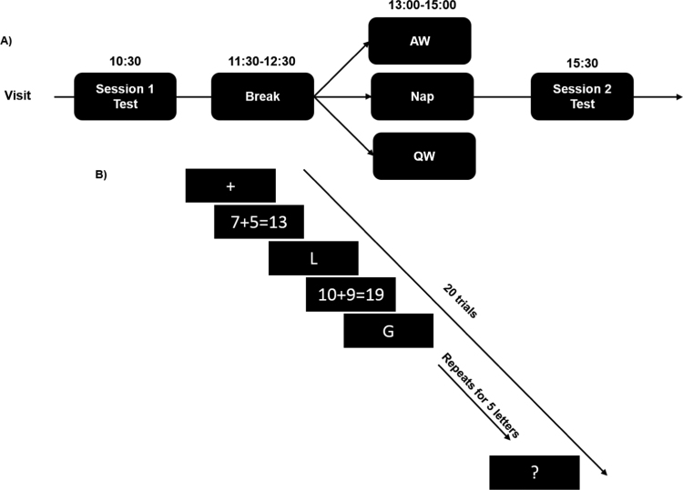 Does working memory improvement benefit from sleep in older adults?