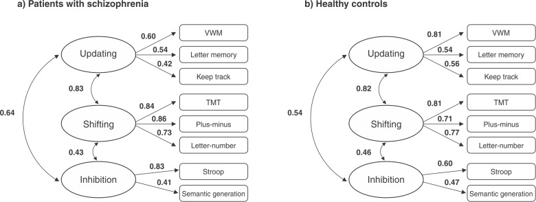 Component mechanisms of executive function in schizophrenia and their contribution to functional outcomes.