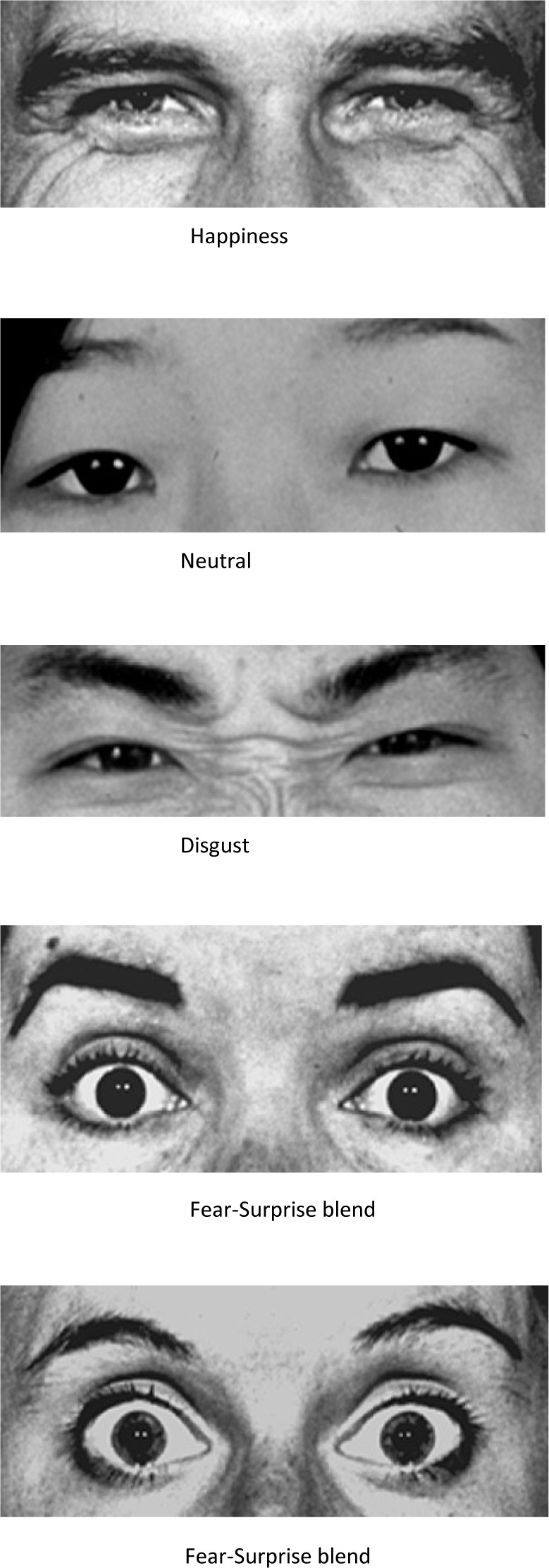 Emotion recognition from the eye region in children with and without Autism Spectrum Disorder in Arab and Scandinavian countries.