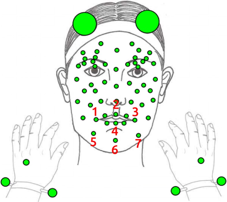 Articulation constrained learning with application to speech emotion recognition.