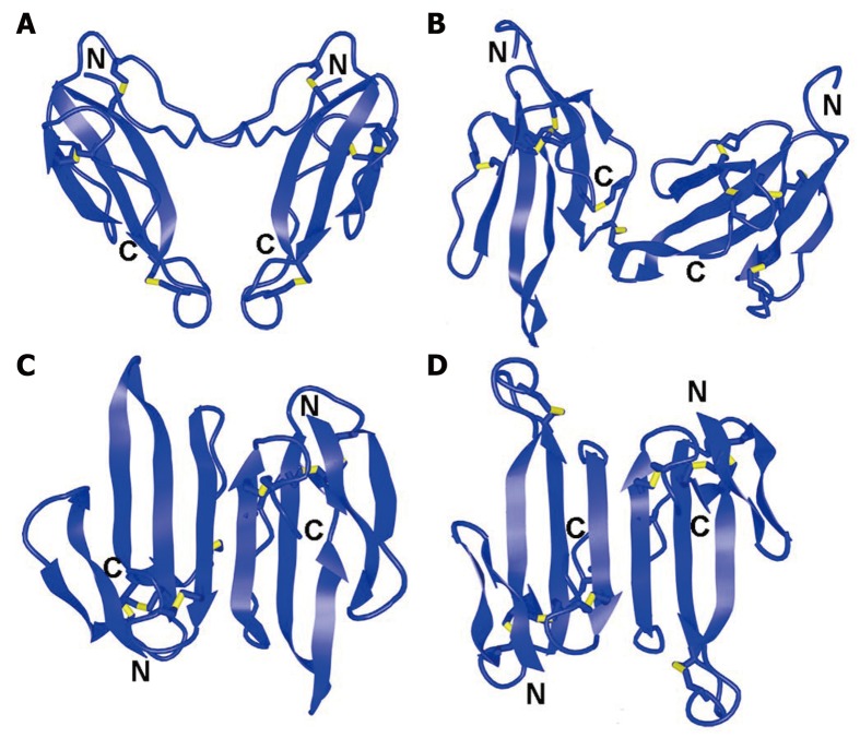 Last decade update for three-finger toxins: Newly emerging structures and biological activities.