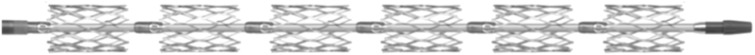 Multiple Stent Delivery System "Multi-LOC": Focal self-expanding nitinol stenting of complex femoropopliteal lesions-A monocenter feasibility pilot study.