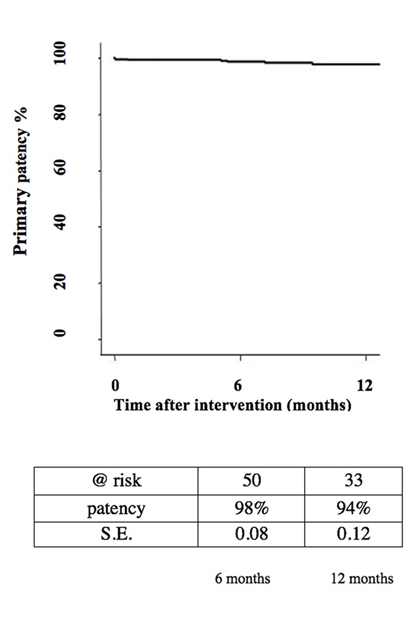 Treatment of <i>de novo</i> femoro-popliteal lesions with a new Drug Coated Balloon: early experience of a single Center in the first 50 patients.