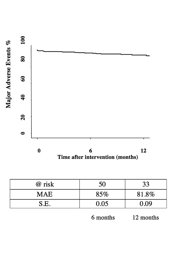 Treatment of <i>de novo</i> femoro-popliteal lesions with a new Drug Coated Balloon: early experience of a single Center in the first 50 patients.