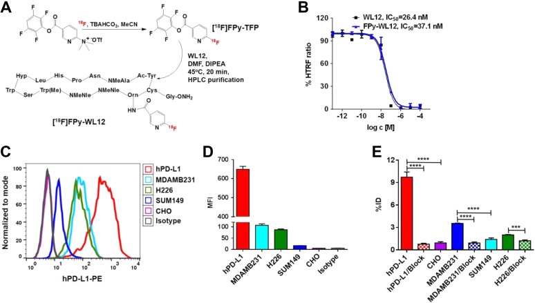 Development of [<sup>18</sup>F]FPy-WL12 as a PD-L1 Specific PET Imaging Peptide.