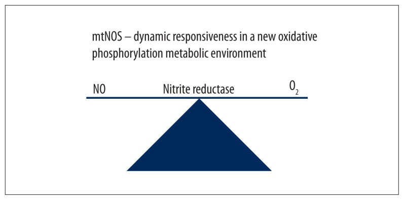 Augmentation of Whole-Body Metabolic Status by Mind-Body Training: Synchronous Integration of Tissue- and Organ-Specific Mitochondrial Function.