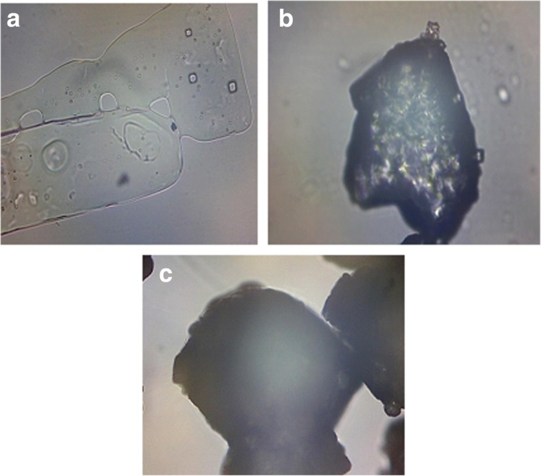 Development and evaluation of taste masked dry syrup formulation of potassium chloride.