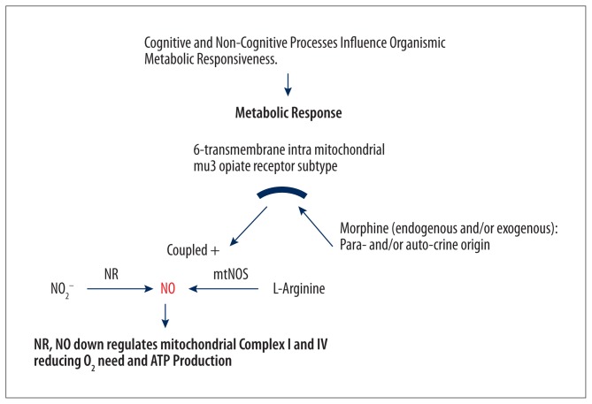 Augmentation of Whole-Body Metabolic Status by Mind-Body Training: Synchronous Integration of Tissue- and Organ-Specific Mitochondrial Function.