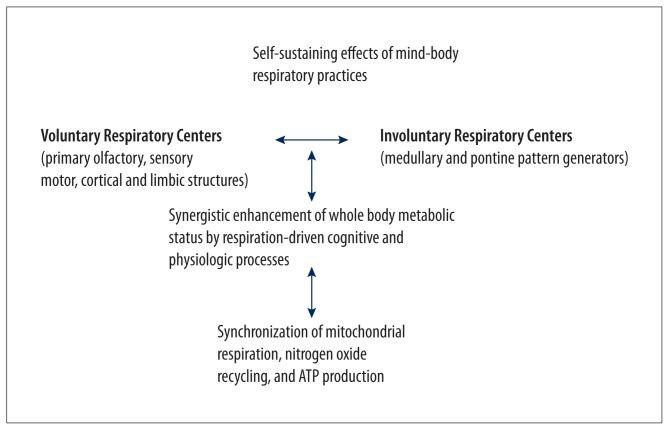 Augmentation of Whole-Body Metabolic Status by Mind-Body Training: Synchronous Integration of Tissue- and Organ-Specific Mitochondrial Function.