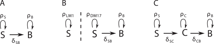 Calibration, Selection and Identifiability Analysis of a Mathematical Model of the in vitro Erythropoiesis in Normal and Perturbed Contexts.