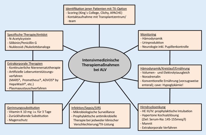 [Acute liver failure].