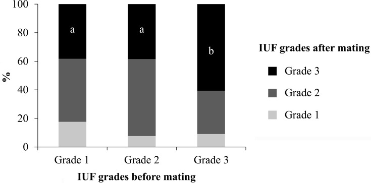 Relationship between the presence of intrauterine fluid and cervical bacteria in heavy draft mares before and after mating.