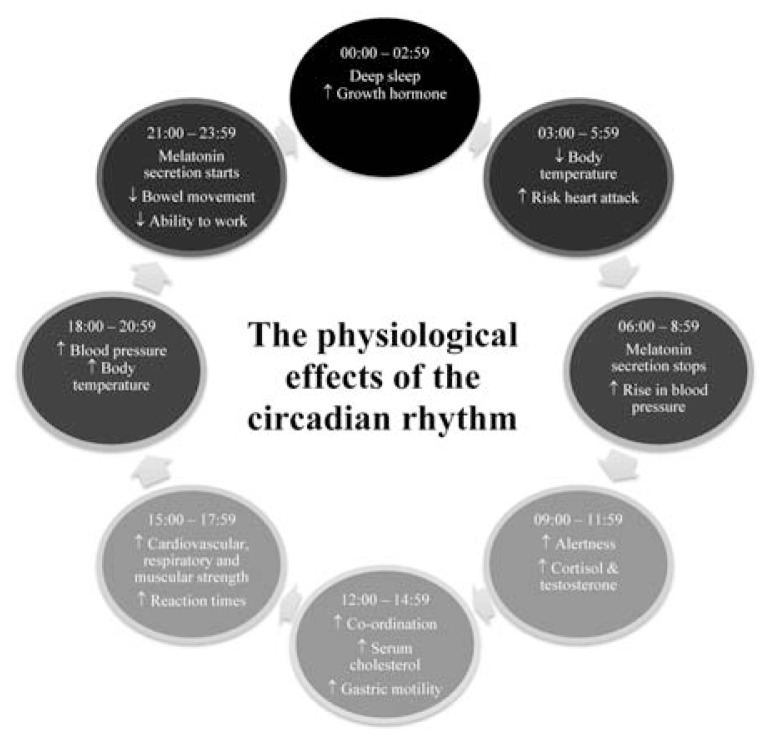 Circadian Rhythms: Will It Revolutionise the Management of Diseases?