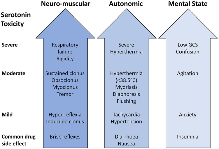 Serotonin Syndrome: Pathophysiology, Clinical Features, Management, and Potential Future Directions.