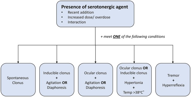 Serotonin Syndrome: Pathophysiology, Clinical Features, Management, and Potential Future Directions.