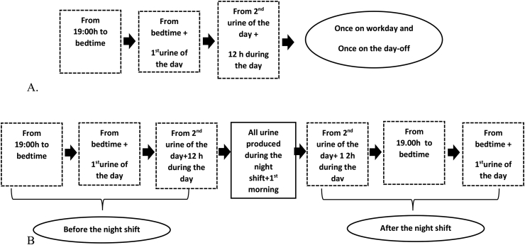 Melatonin profiles during the third trimester of pregnancy and health status in the offspring among day and night workers: A case series