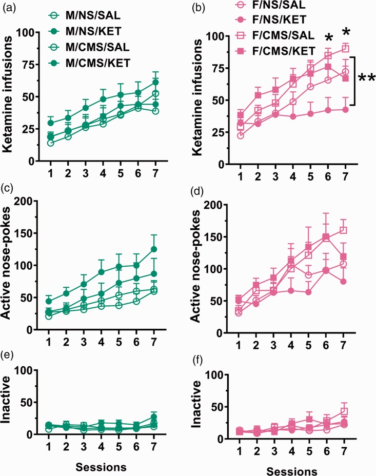 Sex-Dependent Ketamine Addiction-Like Behavior Profile Following Exposure to Chronic Mild Stress.