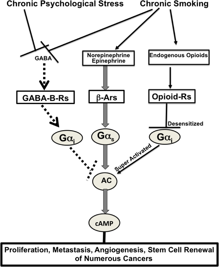 The Neuro-Psychological Axis of Smoking-Associated Cancer.