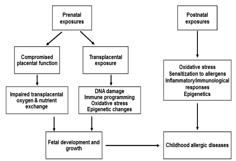 Particulate matter and childhood allergic diseases.