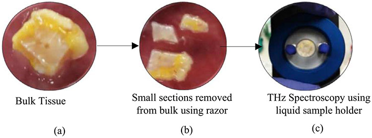 Cancer detection in excised breast tumors using terahertz imaging and spectroscopy.