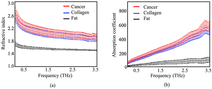 Cancer detection in excised breast tumors using terahertz imaging and spectroscopy.