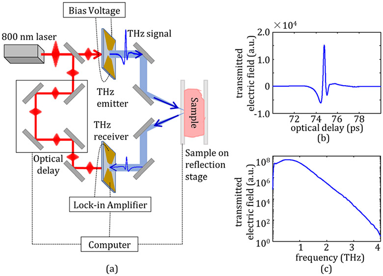 Cancer detection in excised breast tumors using terahertz imaging and spectroscopy.