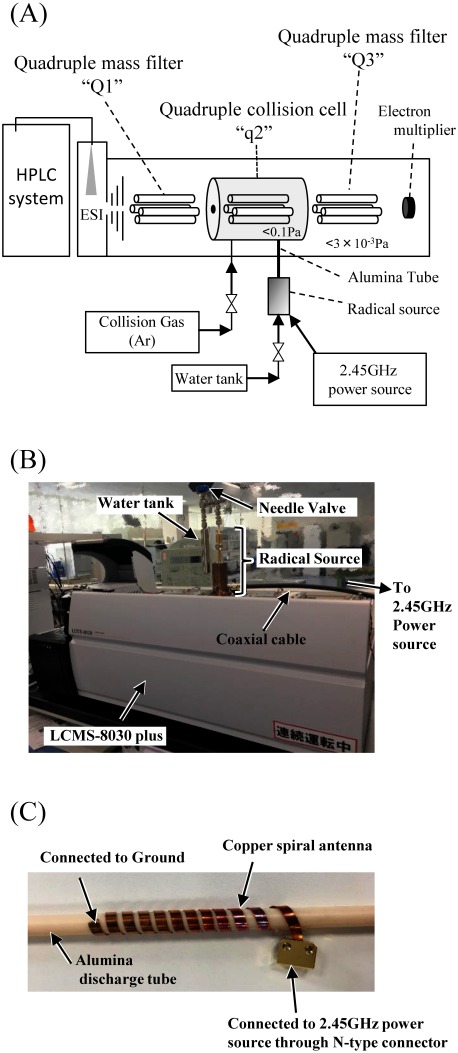 Identifying Double Bond Positions in Phospholipids Using Liquid Chromatography-Triple Quadrupole Tandem Mass Spectrometry Based on Oxygen Attachment Dissociation.