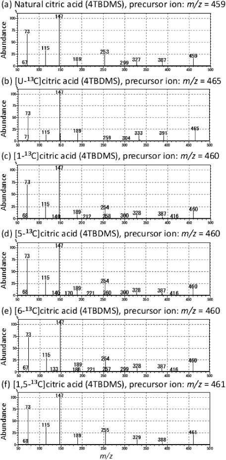 Fragmentation of Dicarboxylic and Tricarboxylic Acids in the Krebs Cycle Using GC-EI-MS and GC-EI-MS/MS.