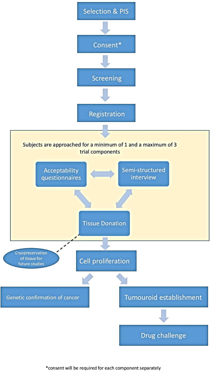 Acceptability and feasibility study of patient-specific ‘tumouroids’ as personalised treatment screening tools: Protocol for prospective tissue and data collection of participants with confirmed or suspected renal cell carcinoma