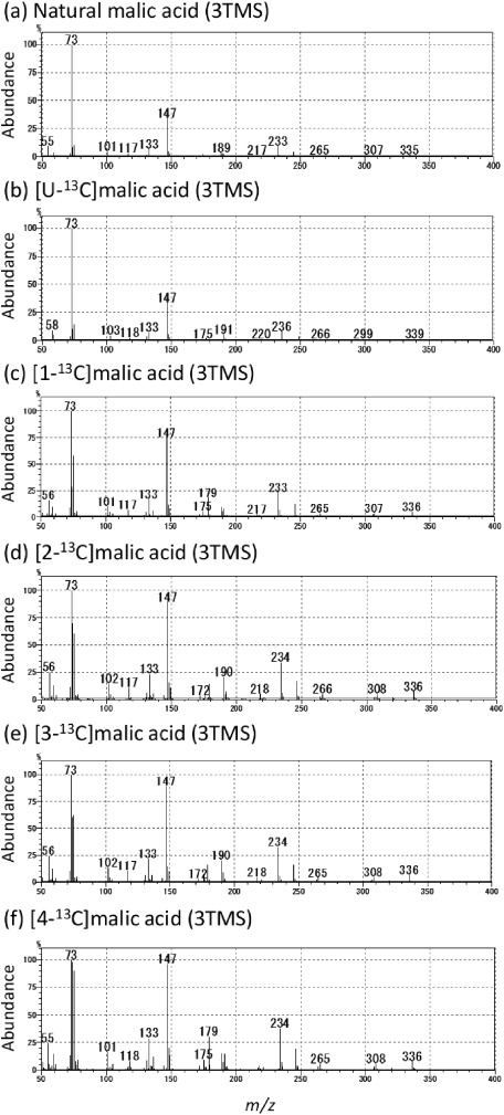 Fragmentation of Dicarboxylic and Tricarboxylic Acids in the Krebs Cycle Using GC-EI-MS and GC-EI-MS/MS.