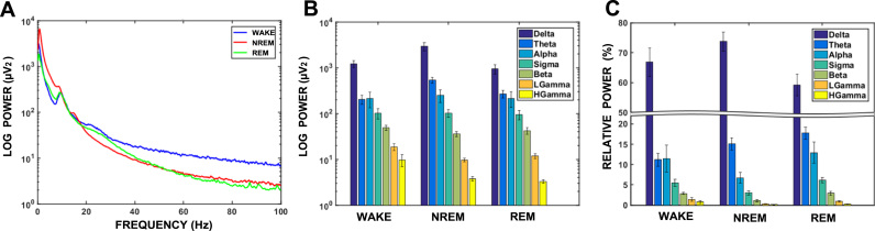 Electrophysiological characterization of sleep/wake, activity and the response to caffeine in adult cynomolgus macaques