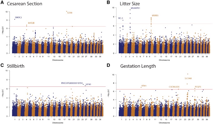 Genome-wide association analysis uncovers variants for reproductive variation across dog breeds and links to domestication.