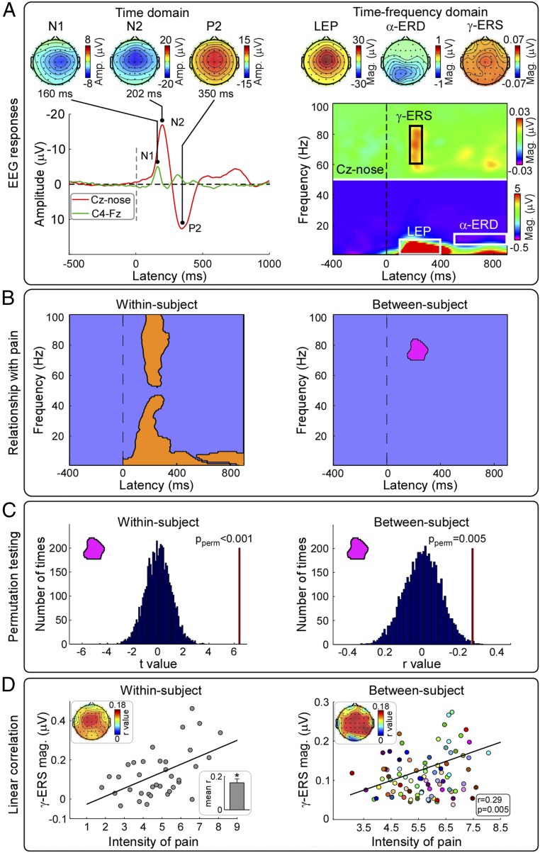 Neural indicators of perceptual variability of pain across species.