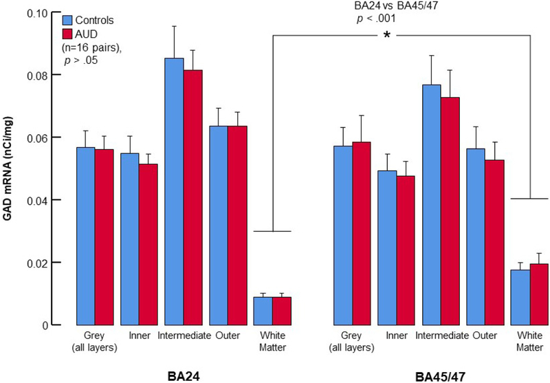 GAD mRNA in Orbital Prefrontal Cortex and Anterior Cingulate Cortex in Alcoholics Compared with Nonpsychiatric Controls: A Negative Postmortem Study.