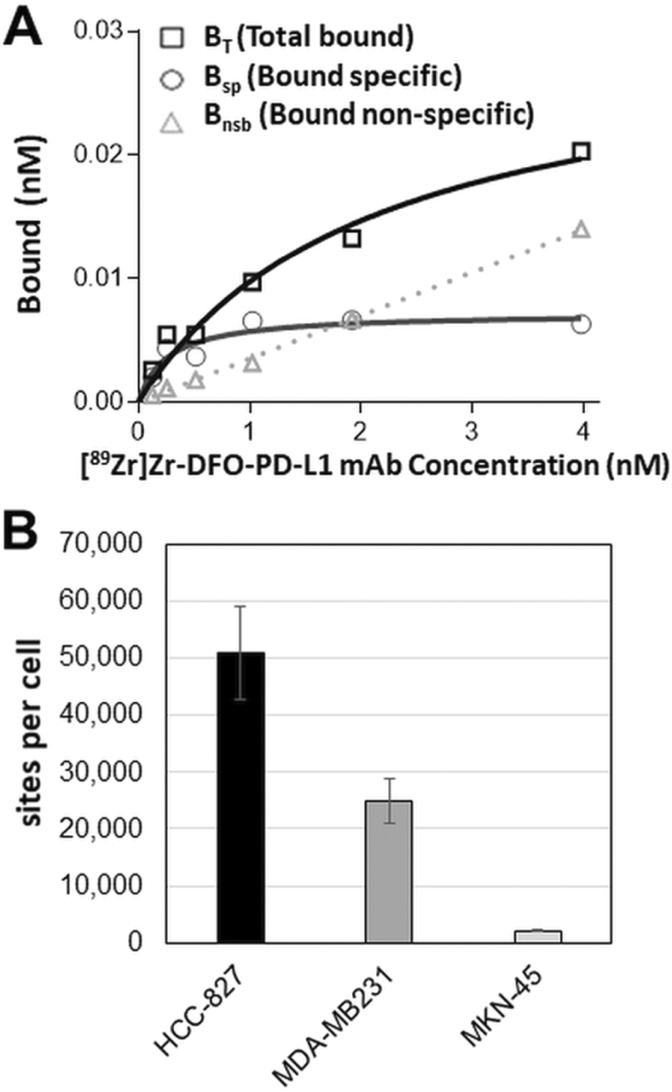 Immuno-PET Imaging of the Programmed Cell Death-1 Ligand (PD-L1) Using a Zirconium-89 Labeled Therapeutic Antibody, Avelumab.