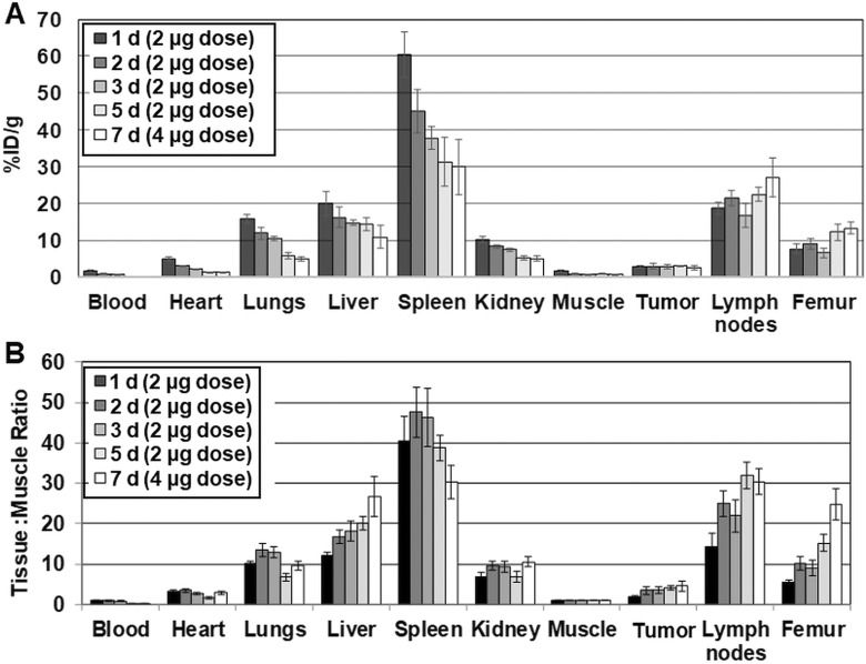 Immuno-PET Imaging of the Programmed Cell Death-1 Ligand (PD-L1) Using a Zirconium-89 Labeled Therapeutic Antibody, Avelumab.