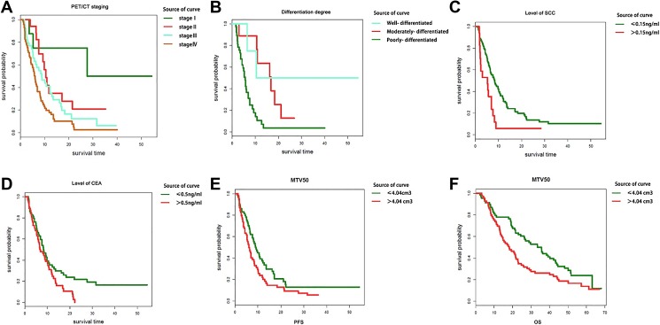 Prognostic and Predictive Values of Metabolic Parameters of <sup>18</sup>F-FDG PET/CT in Patients With Non-Small Cell Lung Cancer Treated With Chemotherapy.