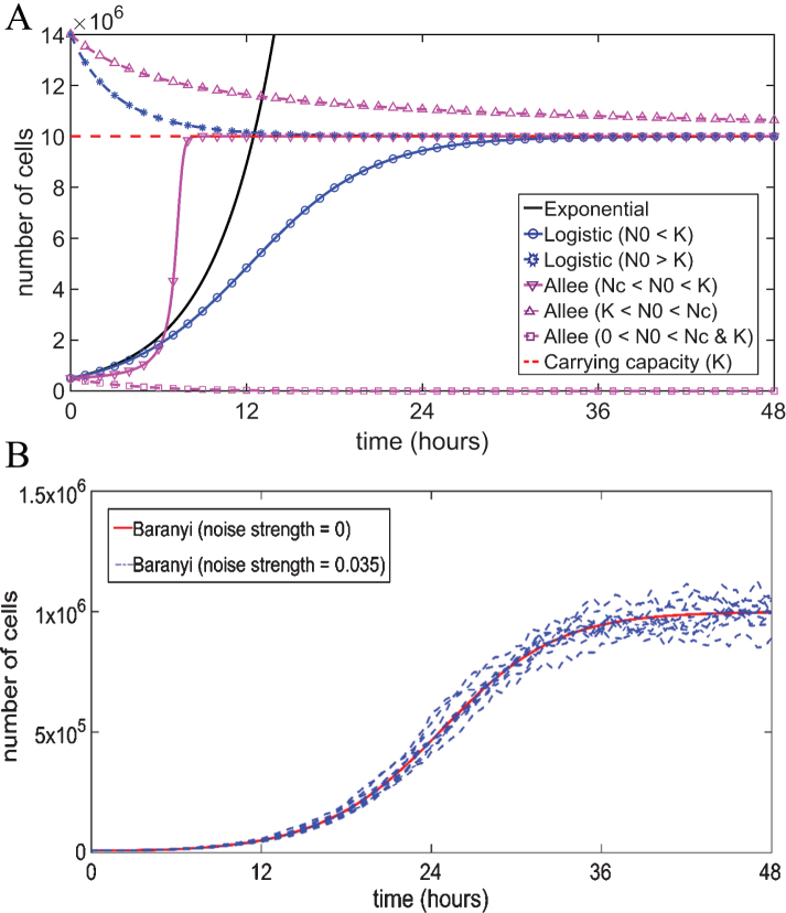 Modeling cell population dynamics.