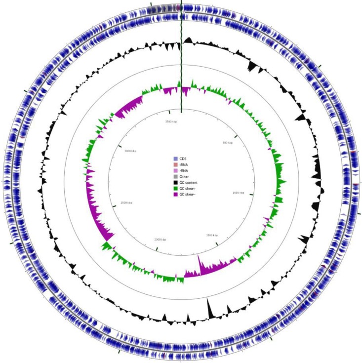 Genomic Insights Into A Novel, Alkalitolerant Nitrogen Fixing Bacteria, <i>Azonexus sp.</i> Strain ZS02.