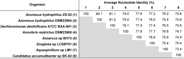 Genomic Insights Into A Novel, Alkalitolerant Nitrogen Fixing Bacteria, <i>Azonexus sp.</i> Strain ZS02.