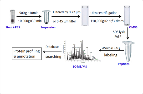 A Method for Isolation and Proteomic Analysis of Outer Membrane Vesicles from Fecal Samples by LC-MS/MS.