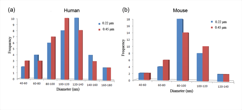 A Method for Isolation and Proteomic Analysis of Outer Membrane Vesicles from Fecal Samples by LC-MS/MS.