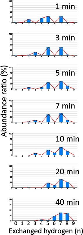 Development of Software for the In-Depth Analysis of Protein Dynamics as Determined by MALDI Mass Spectrometry-Based Hydrogen/Deuterium Exchange.