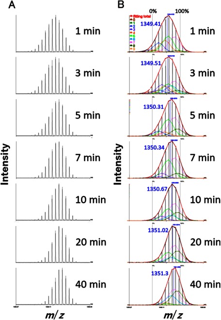 Development of Software for the In-Depth Analysis of Protein Dynamics as Determined by MALDI Mass Spectrometry-Based Hydrogen/Deuterium Exchange.