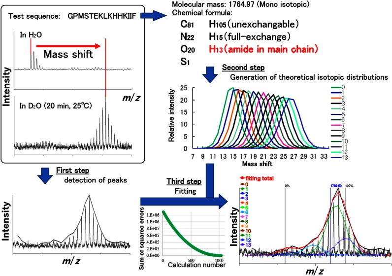 Development of Software for the In-Depth Analysis of Protein Dynamics as Determined by MALDI Mass Spectrometry-Based Hydrogen/Deuterium Exchange.