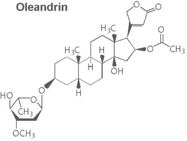 The Botanical Glycoside Oleandrin Inhibits Human T-cell Leukemia Virus Type-1 Infectivity and Env-Dependent Virological Synapse Formation.