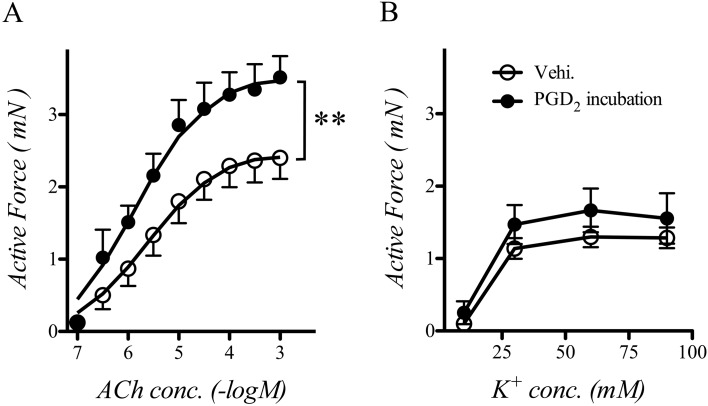 Sustained exposure to prostaglandin D<sub>2</sub> augments the contraction induced by acetylcholine via a DP<sub>1</sub> receptor-mediated activation of p38 in bronchial smooth muscle of naive mice.